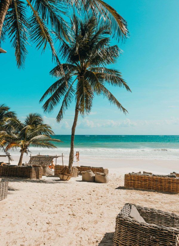 Playa con palmeras y agua turquesa