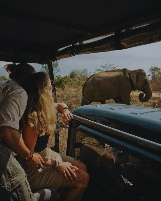 Pareja en un safari frente a un elefante